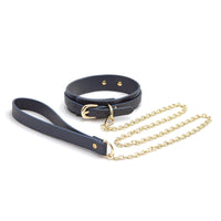 Vinyl Collar and Leash - Blue