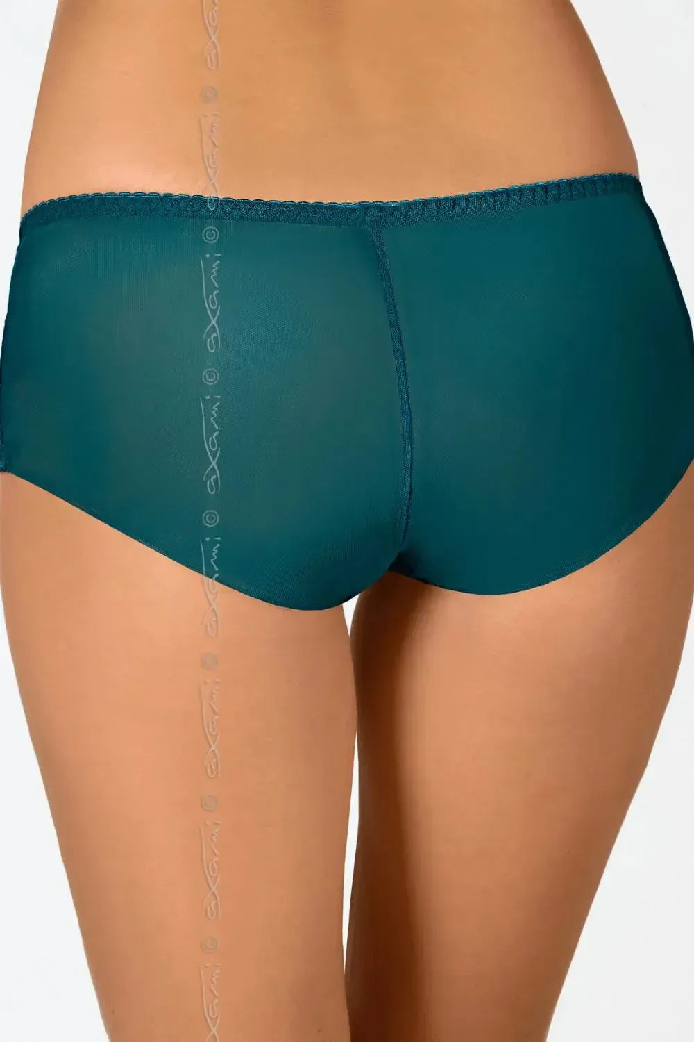 Axami Olive Embroidery Mesh Briefs: seductive glossy green lace and delicate tulle, classic styling.