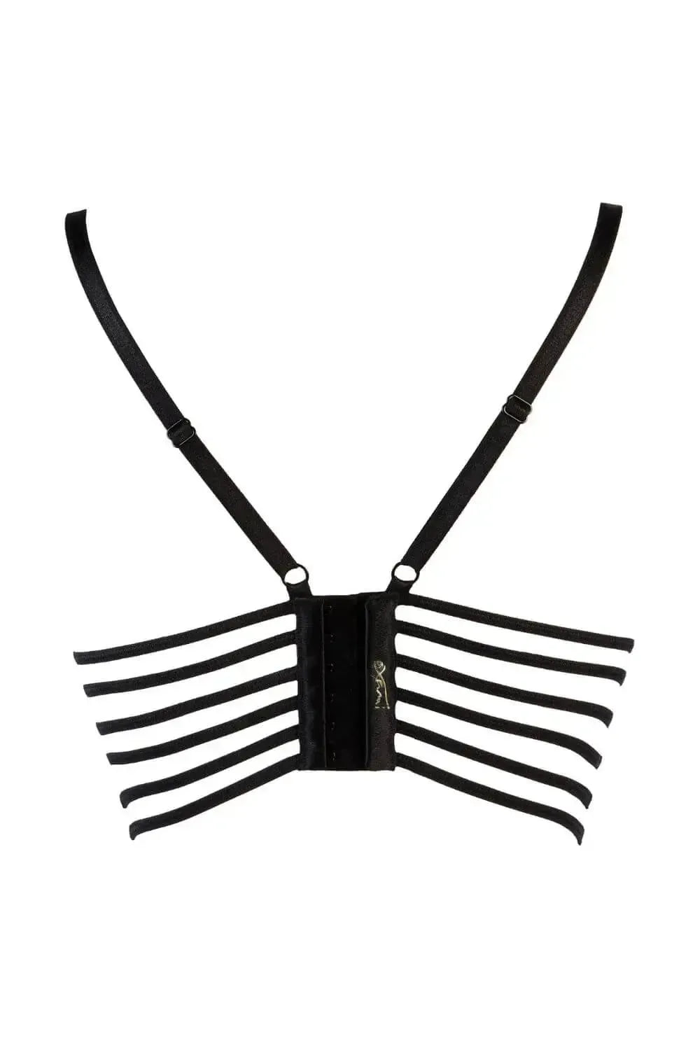 Axami Passion Fruit black longline bra with sensual back design and decorative corset tie.