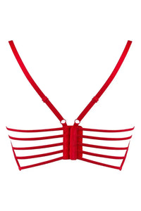 Axami Princess Flower Rose Longline Bra