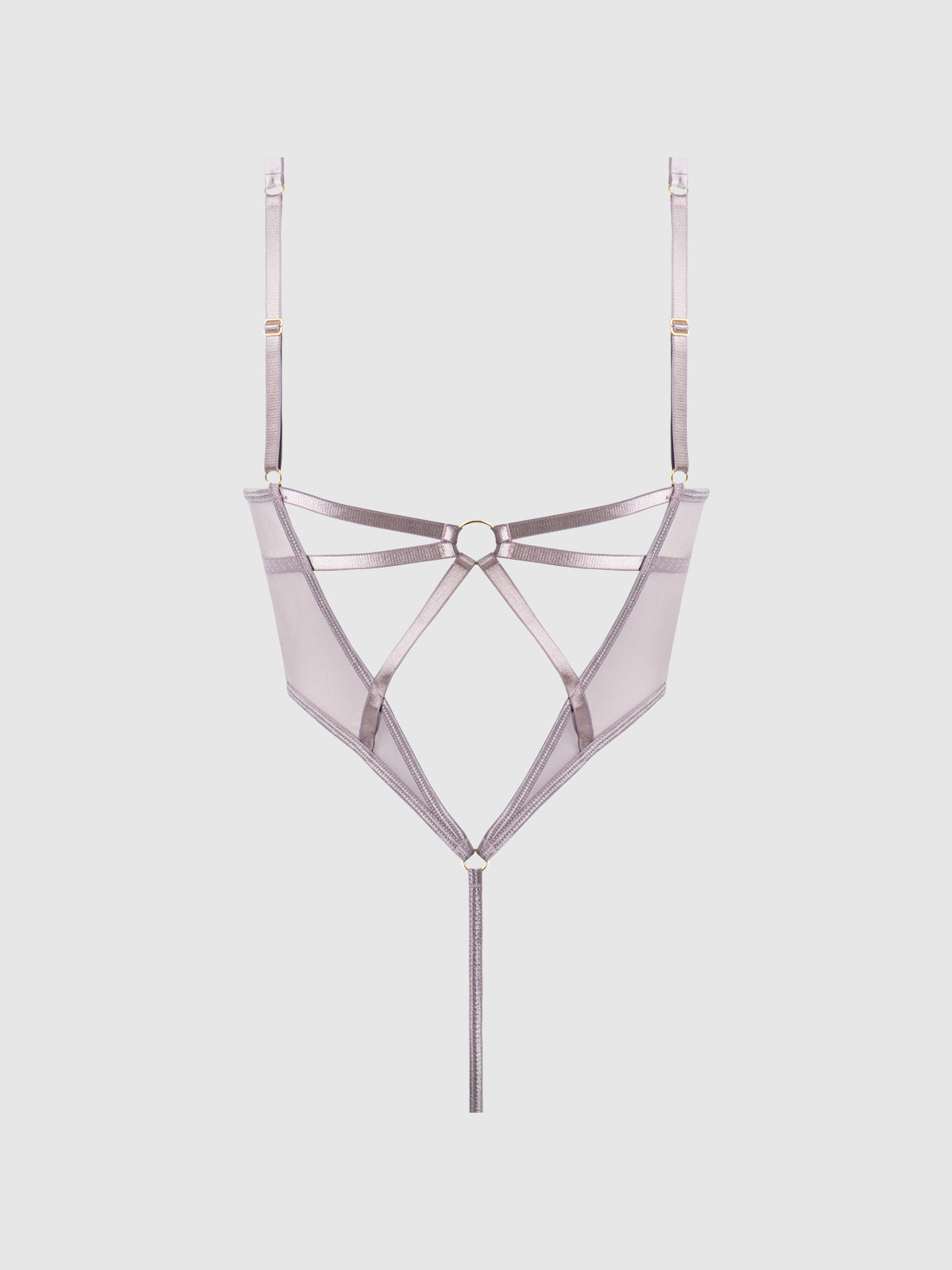Raquel See Through Mesh & Silky Micro Bodysuit Dark Rose