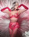 Dita Von Teese Rosabelle Sheer Bikini Panty Pink Pizazz