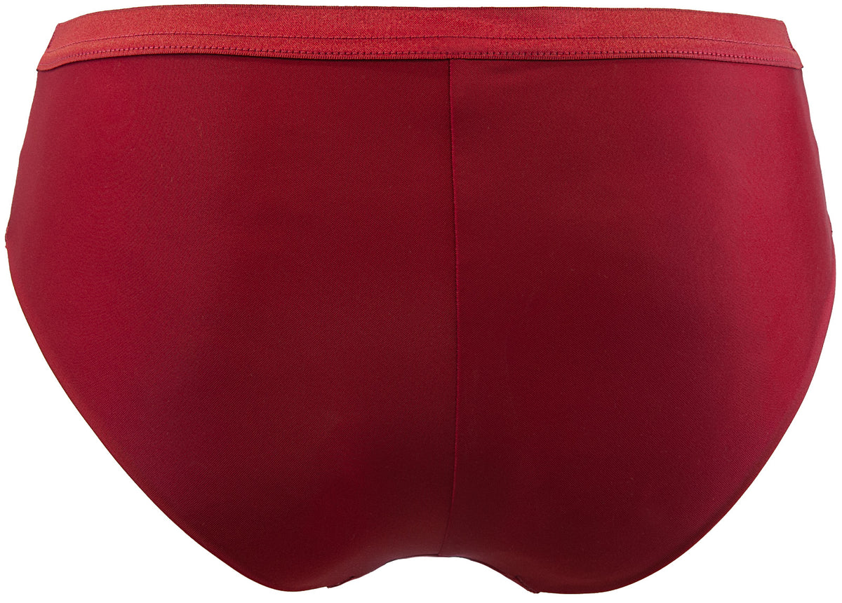 Sheer Stripe Bikini Brief Deep Burgundy