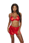 Luxuriously Soft Satin Triangle Cup Bra Set Red