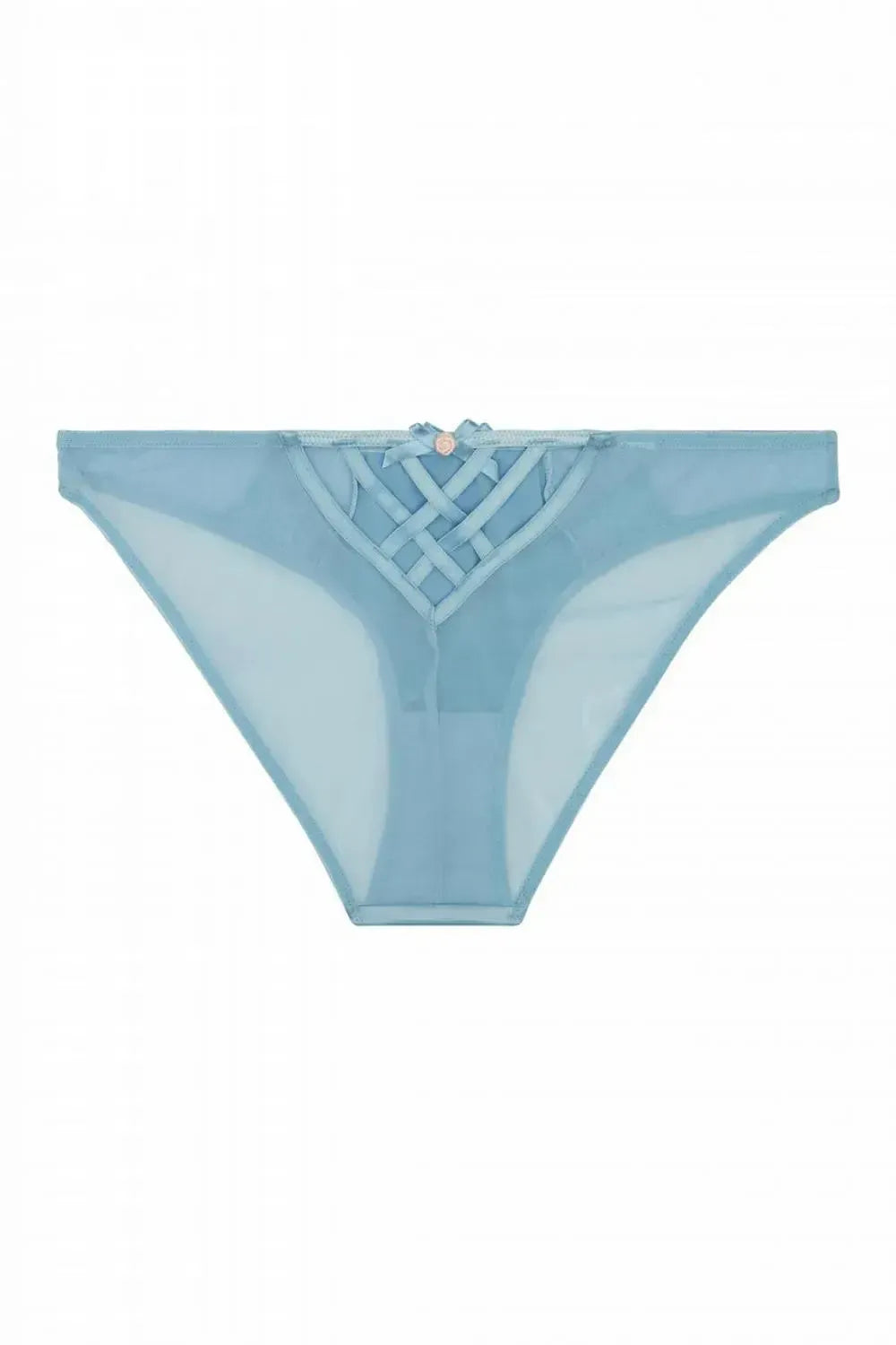 Sybil Brazilian Baby Blue brief: delicate lace, soft mesh, satin panels, and a cute bow with a pink flower.