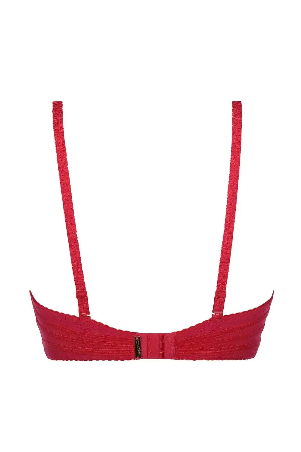 Axami Tiger Lily sheer mesh unlined bra in vivid red with adjustable straps and hook-and-eye closure.