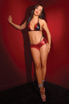 Ultra Sexy Micro Bikini Set Metallic Red