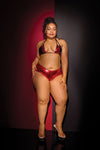 Ultra Sexy Micro Bikini Set Metallic Red