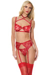 Holiday Sheer Embroidery Mesh Metallic Wet Look Bra Set Red