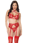 Holiday Sheer Embroidery Mesh Metallic Wet Look Bra Set Red