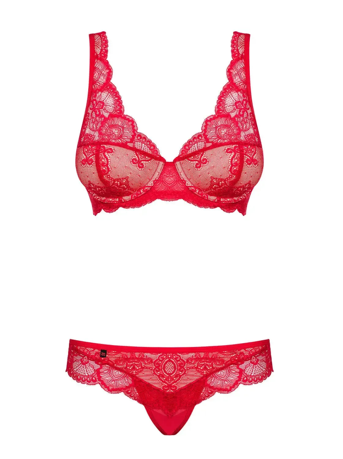 Fabulous red lace plunge bra and matching thong set, perfect for a spicy, elegant night.
