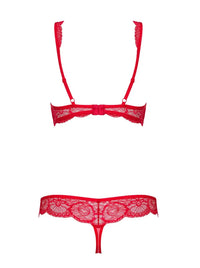 Fabulous red lace plunge bra and matching thong set, perfect for a spicy, elegant night.